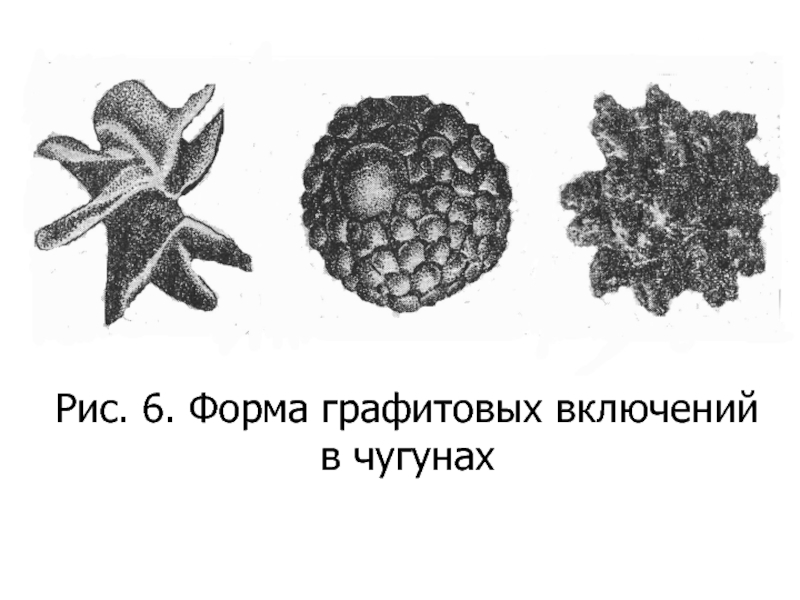 Форма графита в чугуне. Сч15 форма графитовых включений. Форма графитных включений в чугунах. В сером чугуне форма графитных включений. Форма графитовых включений в сером чугуне.