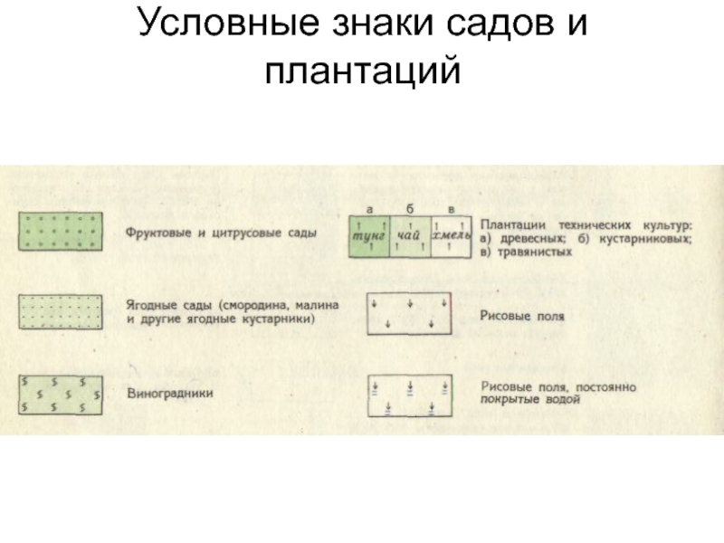 Выберите знаковую модель формула схема фотография текст