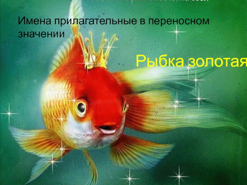 Сделать 3 желания. Золотая рыбка. Рыбка исполнения желаний. Рыба Золотая рыбка. Золотая рыбка исполнение желаний.
