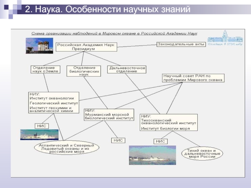 Закономерности развития природы и общества. Закономерности Наблюдаемые в природе. Общие закономерности развития природы и общества. Динамические закономерности в природе примеры. В природе и обществе вида закономерностей:.