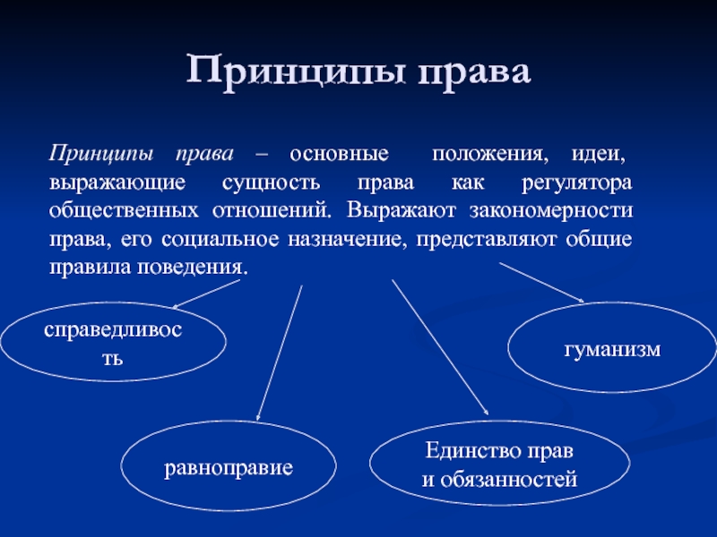 Правовые принципы презентация