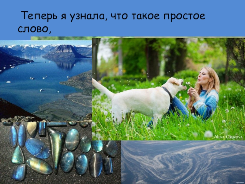 Что такое просто. ODOG что это такое простыми.