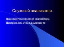 Слуховой анализатор