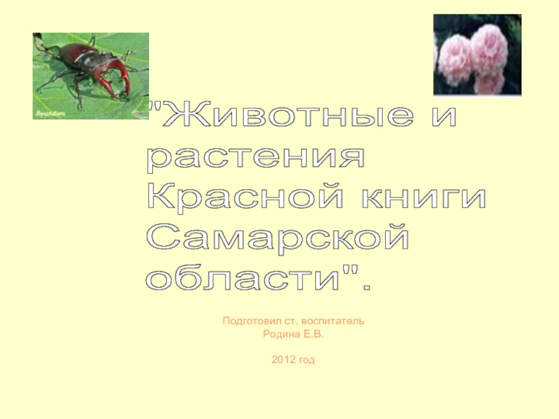 Презентация Животные и растения Красной книги Самарской области