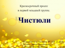 Авторская разработка педагогического проекта 