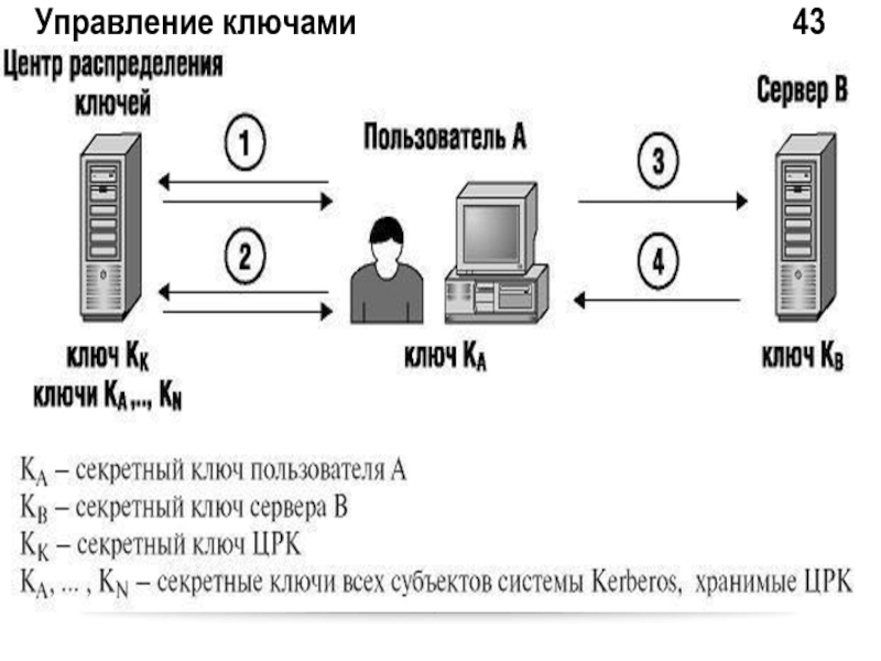 Распределение ключей. Ключ управления. Управление ключами криптографии. Криптографические протоколы распределения ключей. Классификация протоколов распределения ключей.