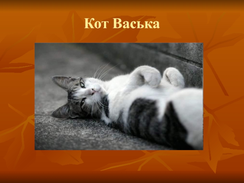 Котик класс. Котик Васька. Васька кот Васька. Проект кот Васька. Любимый кот Васька.