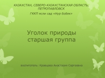 Организация уголка природы в старшей группе.