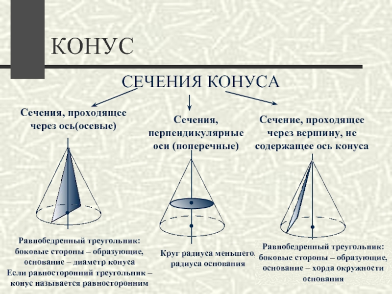 Конус сечение через вершину