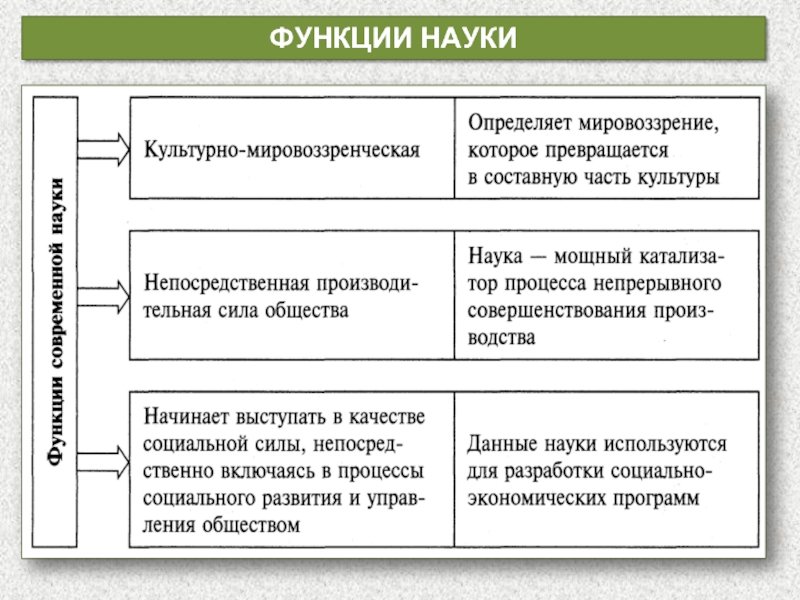 Презентация по обществознанию 10 класс наука