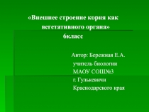 Презентация для урока биологии 6 класс  Внешнее строение корня