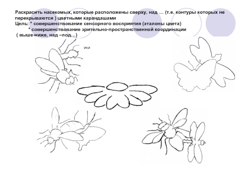 Раскрасить насекомых, которые расположены сверху, над … (т.е. контуры которых не перекрываются ) цветными карандашами Цель: *