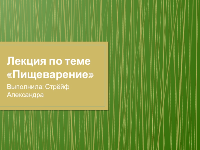 Лекция по теме «Пищеварение»