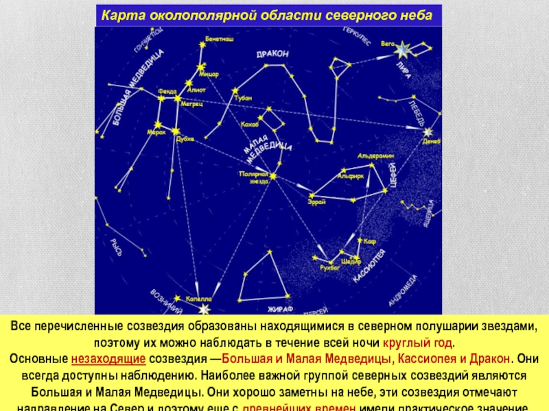 Укажите созвездие показанное на рисунке яркая звезда которого указывает направление севера