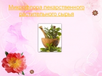 Микрофлора лекарственного сырья 