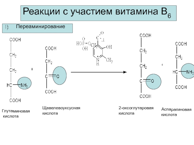 Синтез кофермента. Реакции с витамином в1. Реакции трансаминирования витамин б6. Трансаминирование аминокислот кофермент витамин в6. Реакции трансаминирования витамина в6.