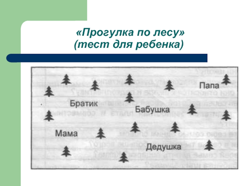 Тест лес. Прогулка по лесу тест. Тест прогулка в лесу. Психологический тест прогулка по лесу. Психологический тест в лесу прогулка.