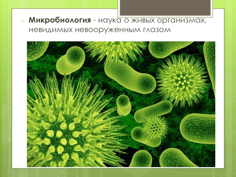 Организмы науки. Микробиология это наука изучающая. Микробиология это наука. Микробиология это наука в биологии. Микробиология наука о микроорганизмах.