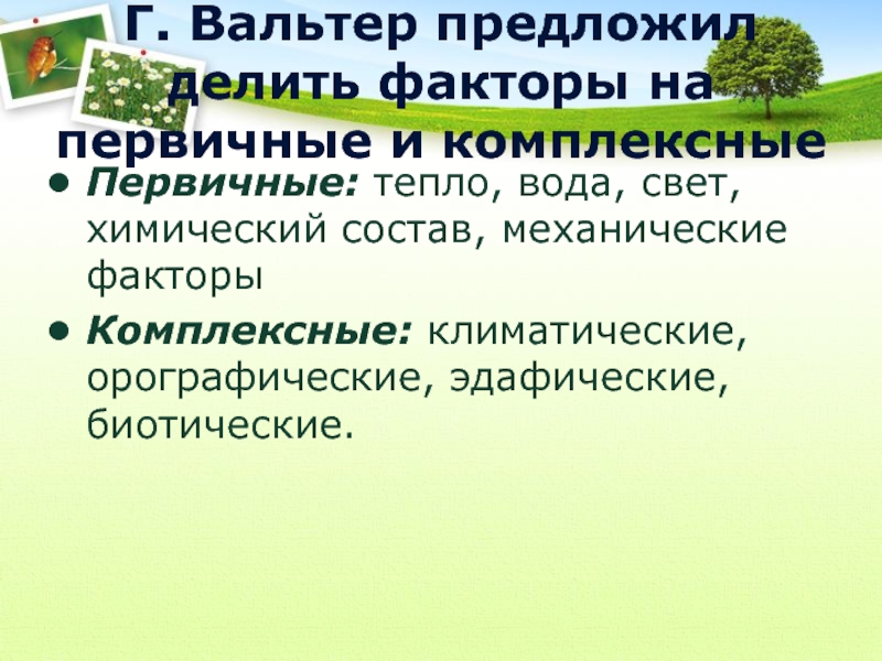 Экология экологические факторы презентация 11 класс