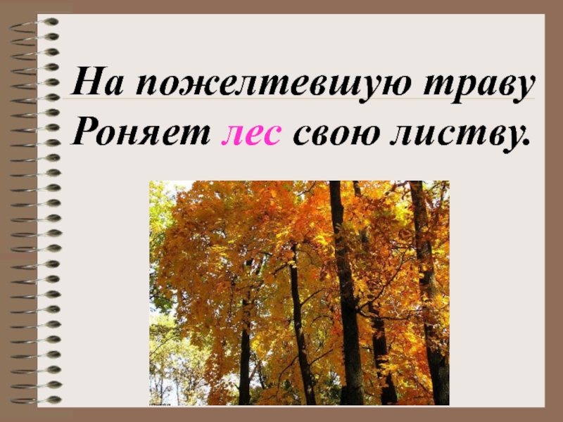 Прочитай на желтеют. На пожелтевшую траву роняет Лев свою листву. Ронять листву. Роняет лес это личный глагол. Пожелтевшей или пожелтевший.