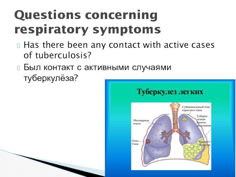 Презентация Questions concerning respiratory symptoms