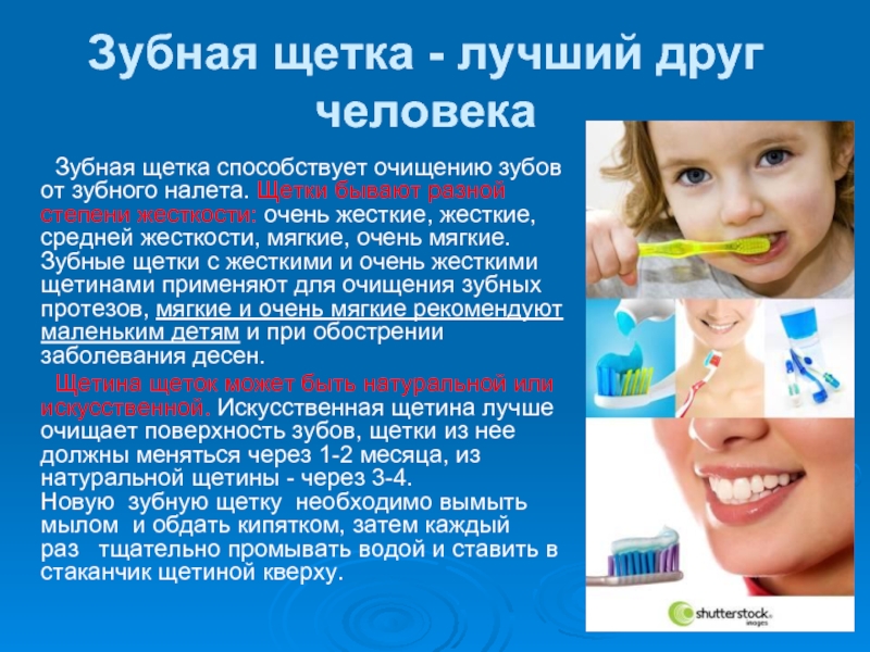 Зубная щетка - лучший друг человека    Зубная щетка способствует очищению зубов от зубного налета.