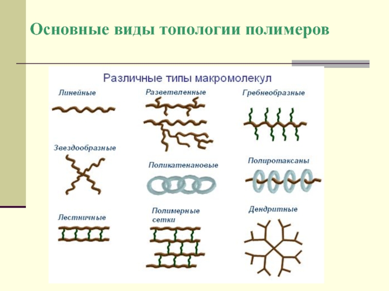 Строение полимера линейное разветвленное сетчатое пространственное сделать рисунки