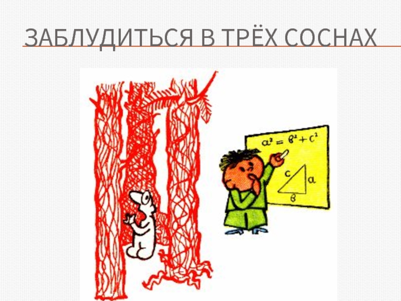 Заблудиться в трех соснах. Фразеологизм заблудиться в трех соснах. Заблудились в трёх соснахх. Заблудиться в 3 соснах фразеологизм. Потеряться в трех соснах.