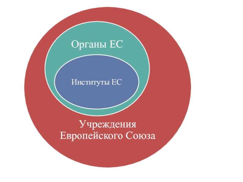 Орган институты. Институт европейского права. Институт Союза. Права человека и гражданина в европейском Союзе. ЕС органы и институты отличия.