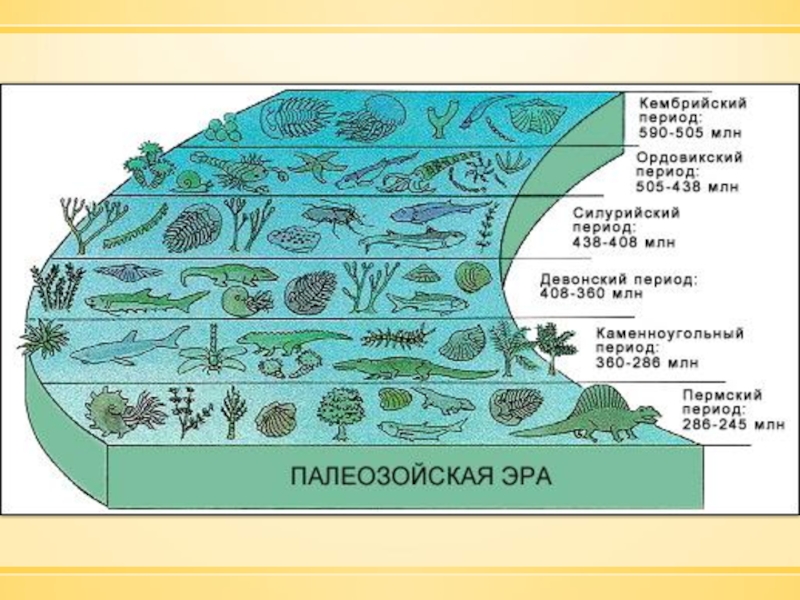 Презентация поздний палеозой