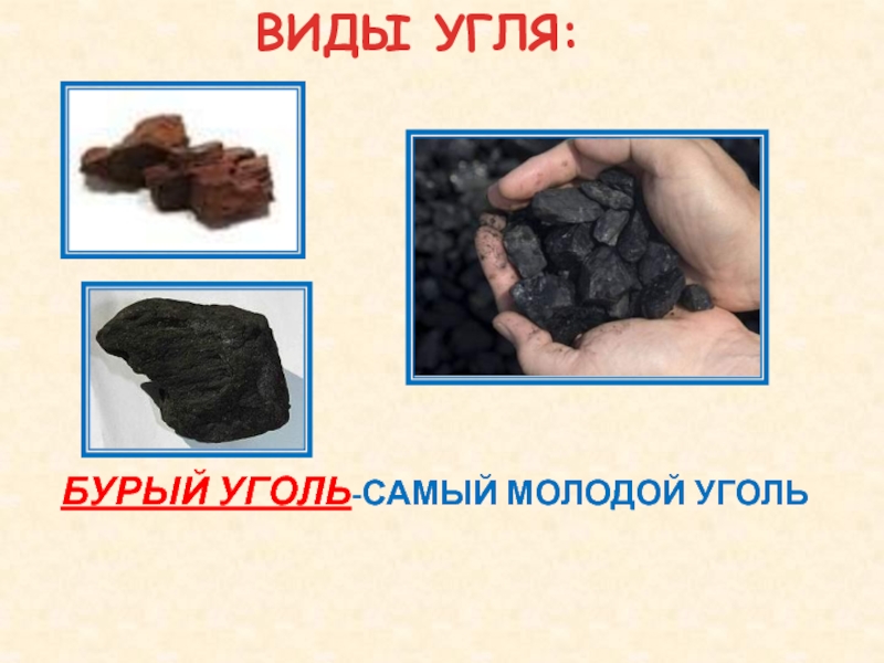 Вид бурого угля. Бурый уголь. Полезные ископаемые уголь. Виды каменного угля. Виды бурого угля.
