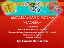 Презентационный урок по биологии для 9 класса на тему 