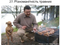 27. Різноманітність травних систем