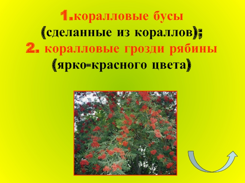 1.коралловые бусы (сделанные из кораллов); 2. коралловые грозди рябины  (ярко-красного цвета)
