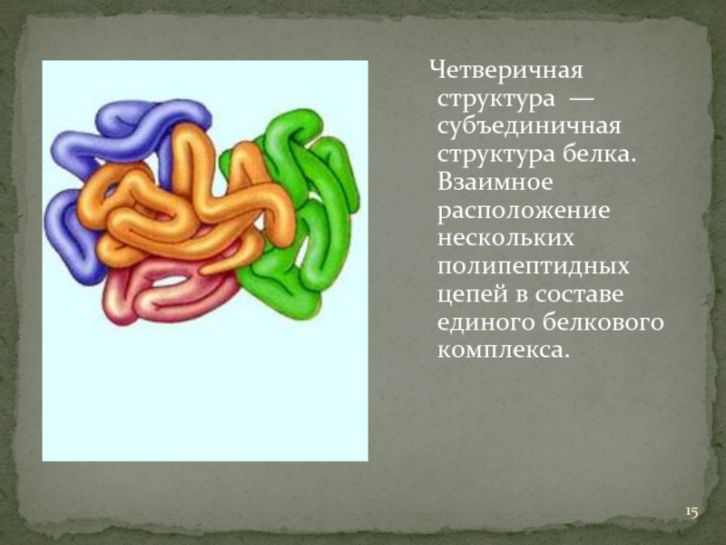 Четверичная структура — субъединичная структура белка. Взаимное расположение нескольких полипептидных цепей в составе единого белкового комплекса.