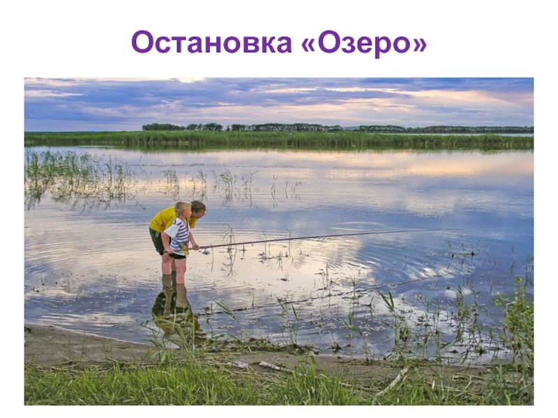 Мы остановились озера. Новосибирск остановка у озера. Остановка озеро. Охотники остановились у озера восторженно любуясь.