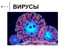 ВИРУСЫ