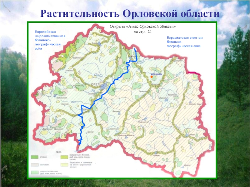 Зона орловская область. Растительный мир Орловской области карта. Карта растительности Орловской области. Атлас Орловской области по географии. Природные зоны Орловской области.