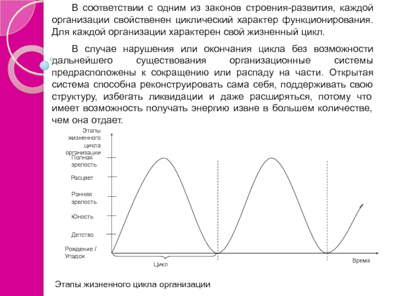 Цикличность моды проект