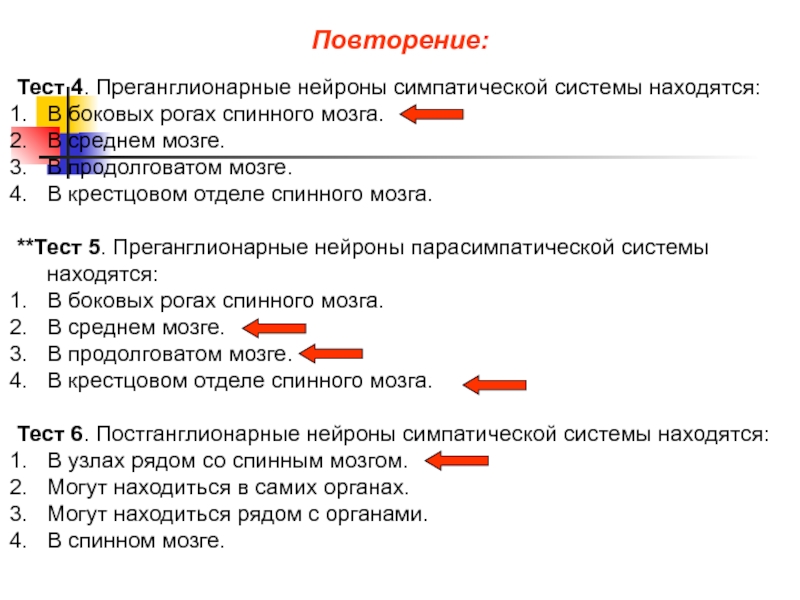 Средний мозг тесты. Преганглионарные Нейроны симпатической системы находятся в боковых. Система повторений. Преганглионарные Нейроны симпатической системы находятся. Repetition Test.