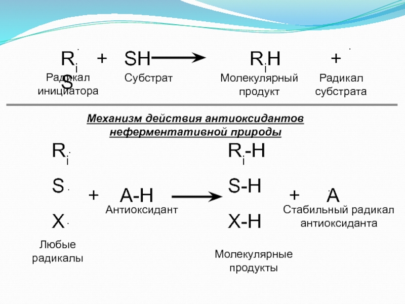 Молекулярный продукт. Механизм действия антиоксидантов. Механизм антиоксидантного действия. Sh радикал. Антиоксиданты механизм антиоксидантного действия.