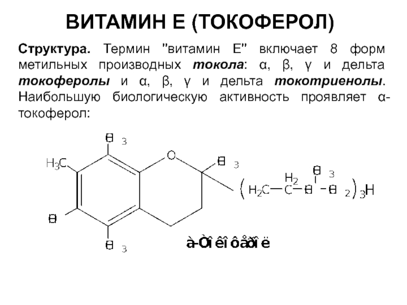 Термин строение