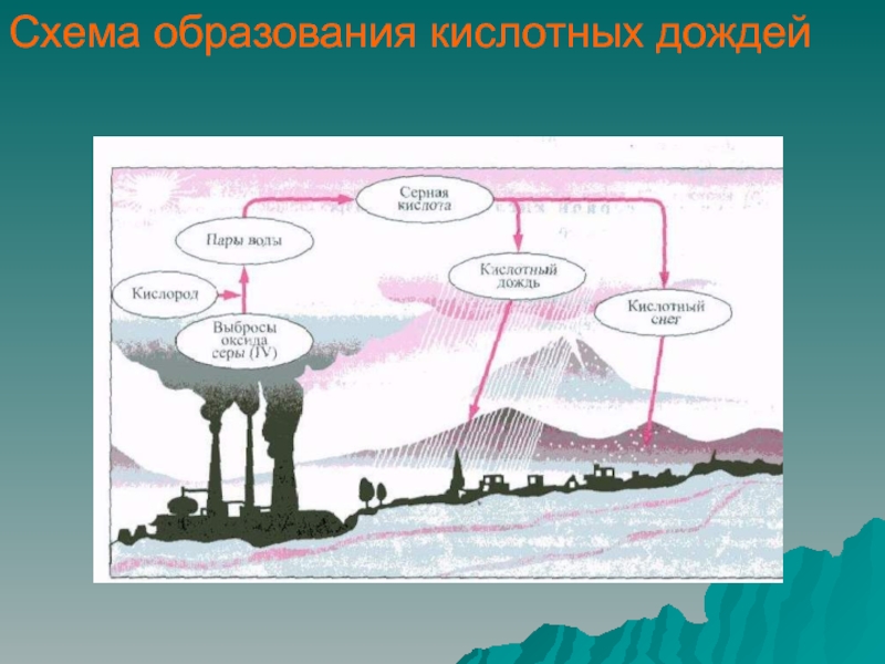 Схема образования кислотных дождей