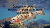 Основные объекты морского промышленного рыболовства