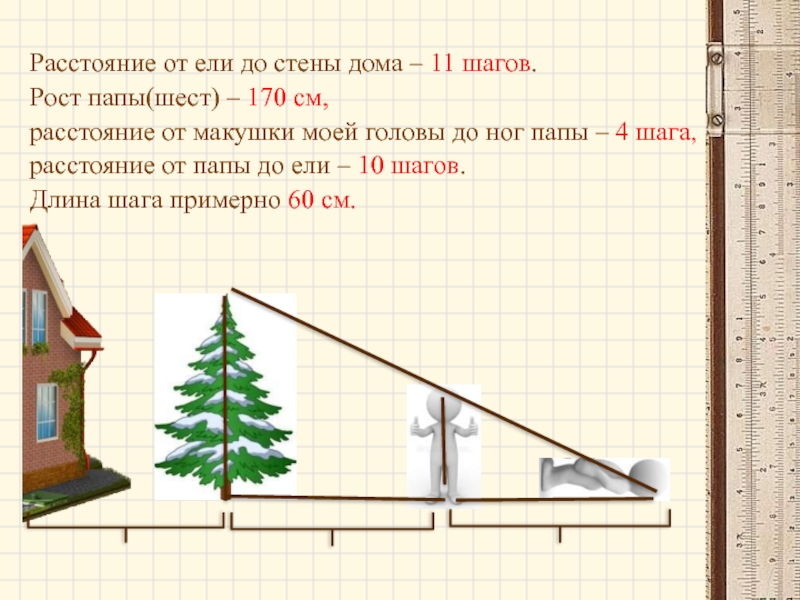 На рисунке изображены здание и стоящее рядом дерево высота здания 10 м