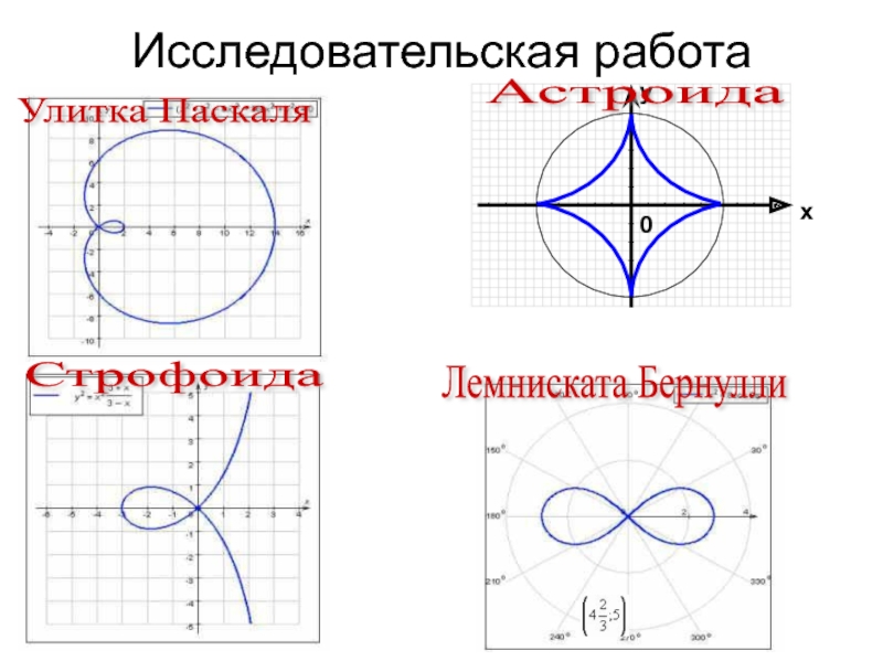 Улитка паскаля рисунок