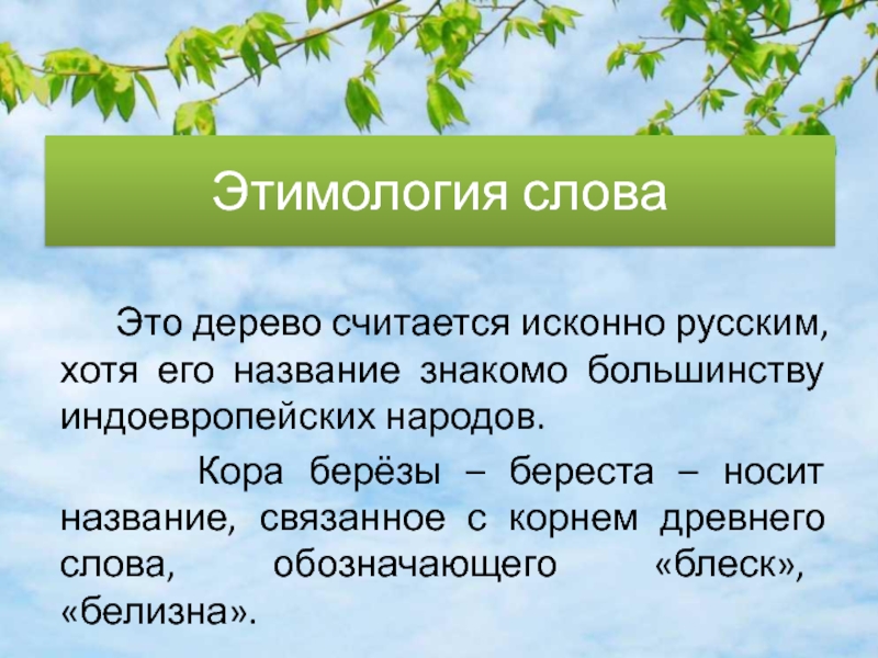 Назвал знакомой. Этимология слова. Этимология слова этимология. Этимология слова слово. Этимология русских слов.