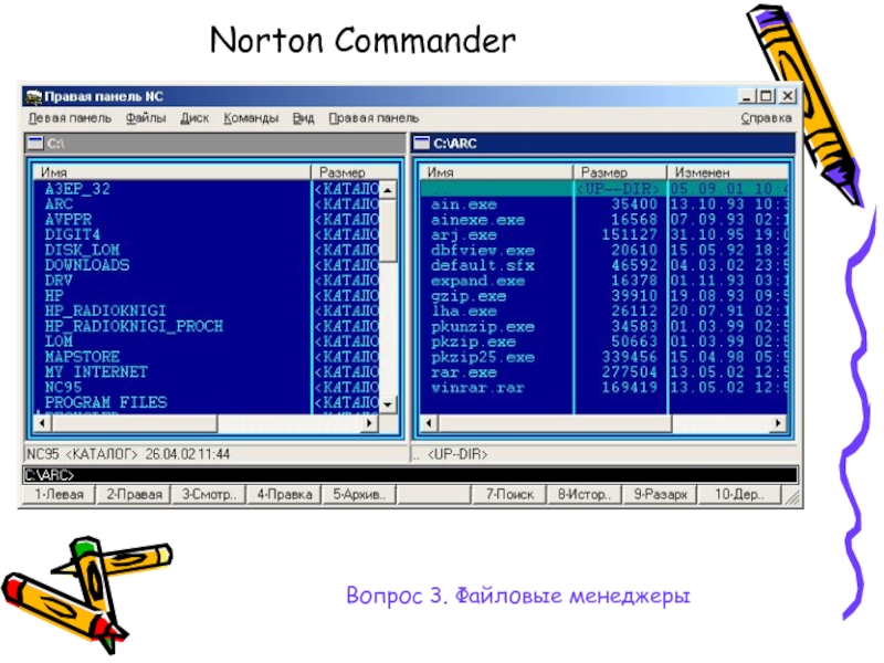 Norton commander dos. Нортон коммандер Интерфейс. Файловый менеджер Norton Commander. Сервисные программы файловые менеджеры. DOSBOX Нортон командер.