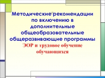 Методические рекомендации по включению в дополнительные общеобразовательные общеразвивающие программы ЭОР и трудовое обучение обучающихся