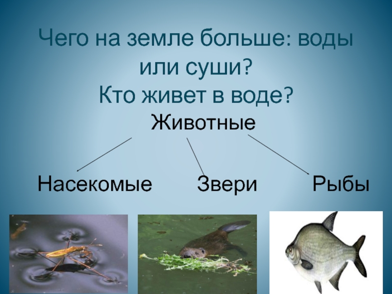 Для чего вода животным окружающий мир. Кто живет в воде?. Кто обитает в воде. Кто живет в воде презентация. Животные обитающие в воде и на суше.